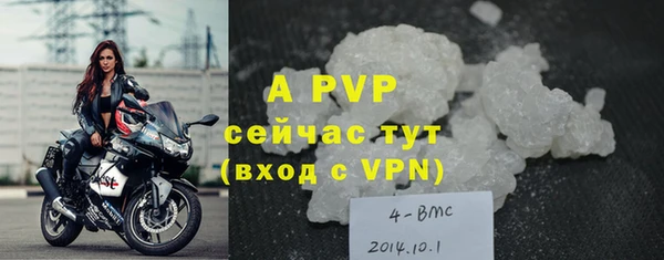 молекула духа Вязьма