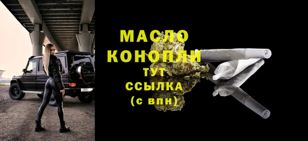молекула духа Вязьма