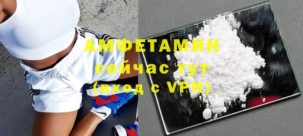 молекула духа Вязьма