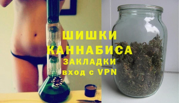 молекула духа Вязьма
